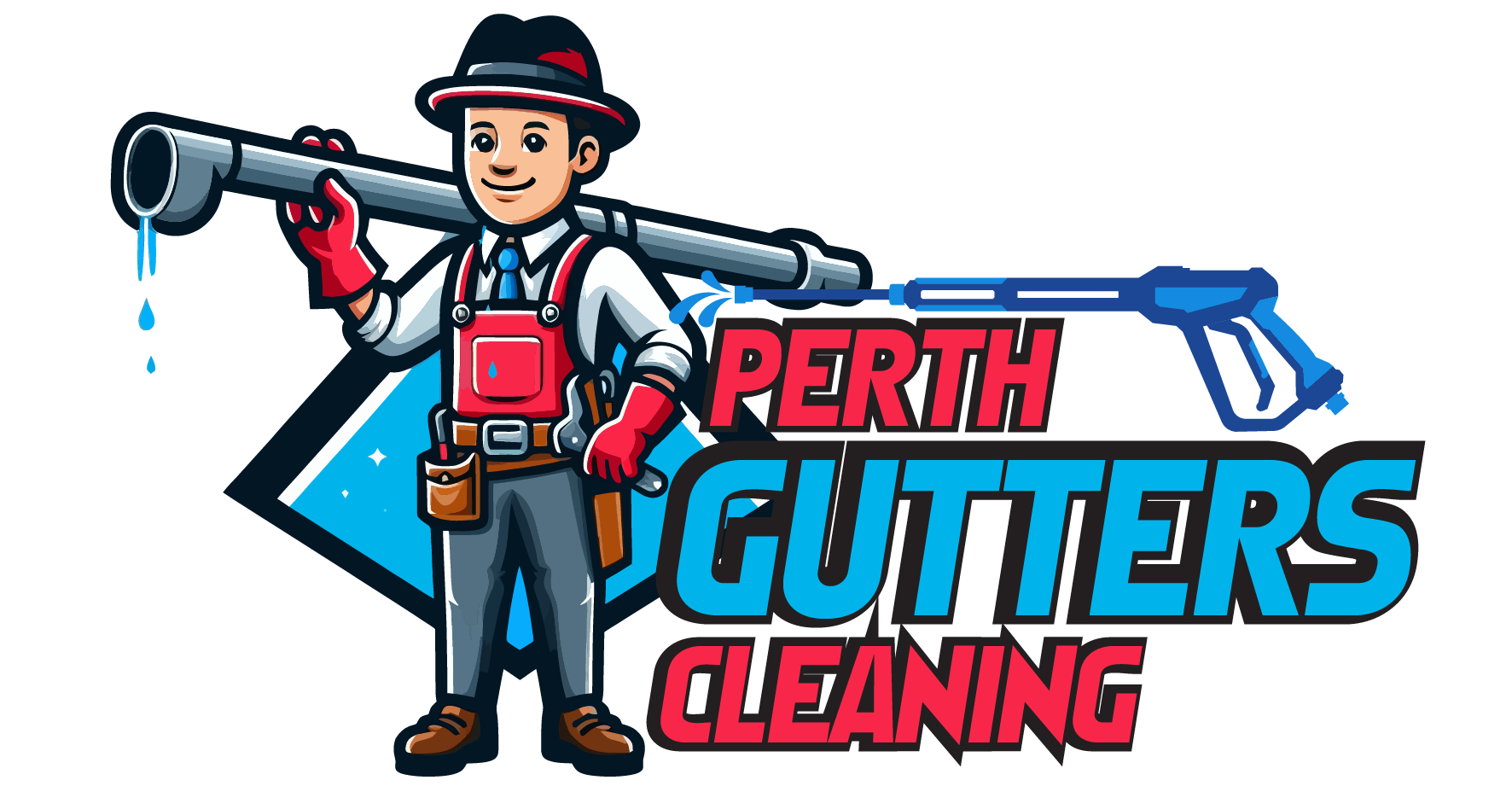 Perth Gutters Cleaning